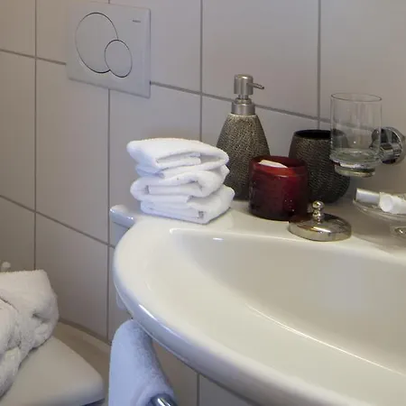 מלון Alpenhof 3*