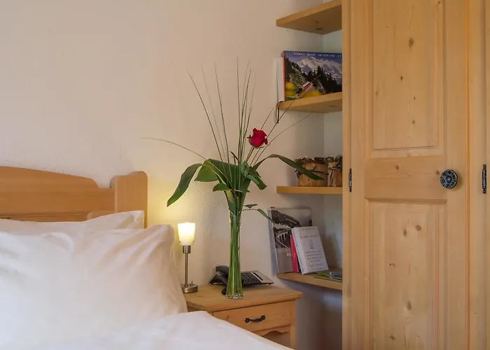 Alpenhof ホテル ダヴォス・プラッツ